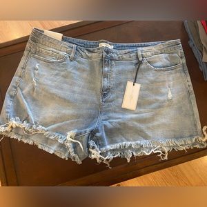 Discount Divas Denim Shorts 3X